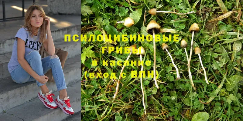 Галлюциногенные грибы MAGIC MUSHROOMS  ссылка на мегу рабочий сайт  Углич 